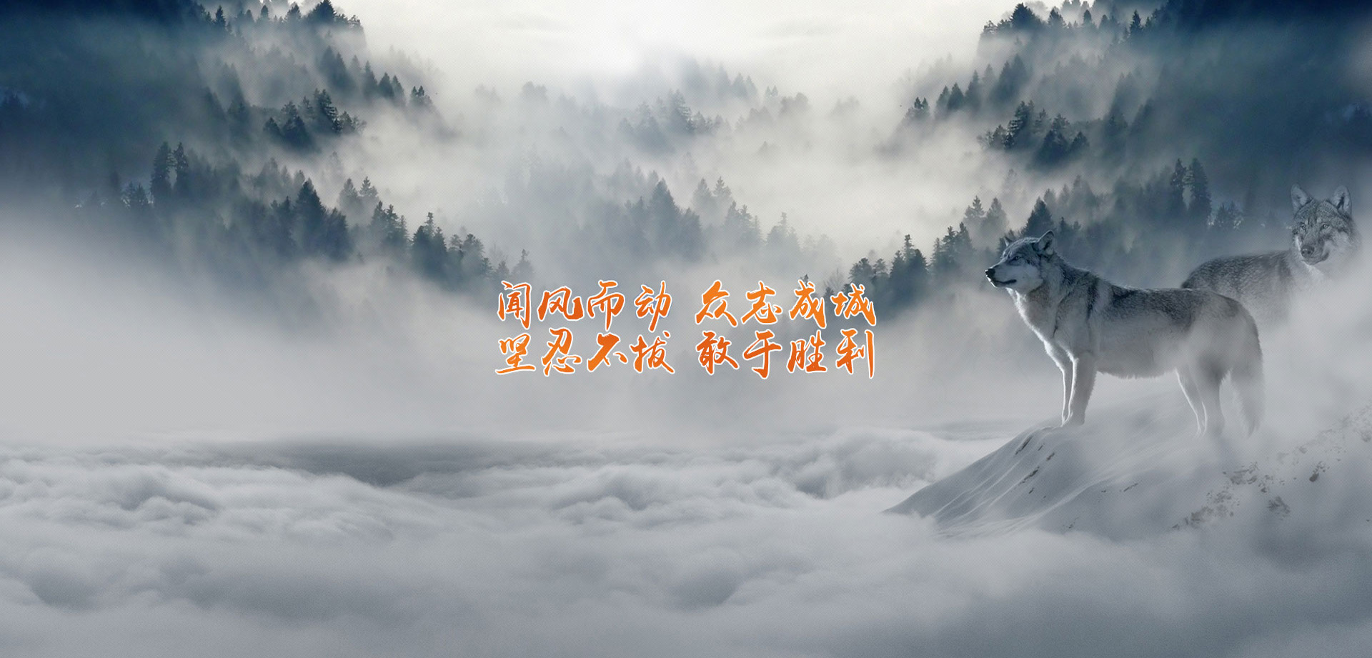 瑞丽橡玛投资